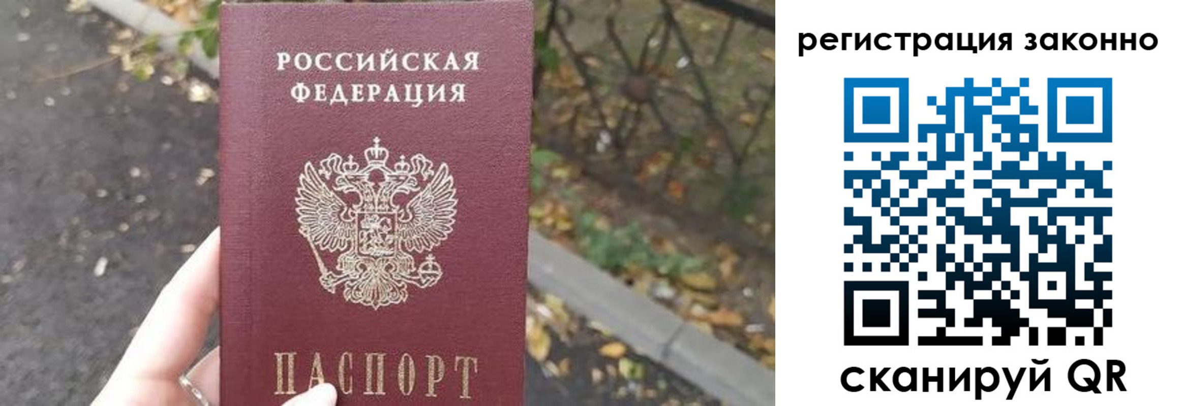 регистрация в Луге